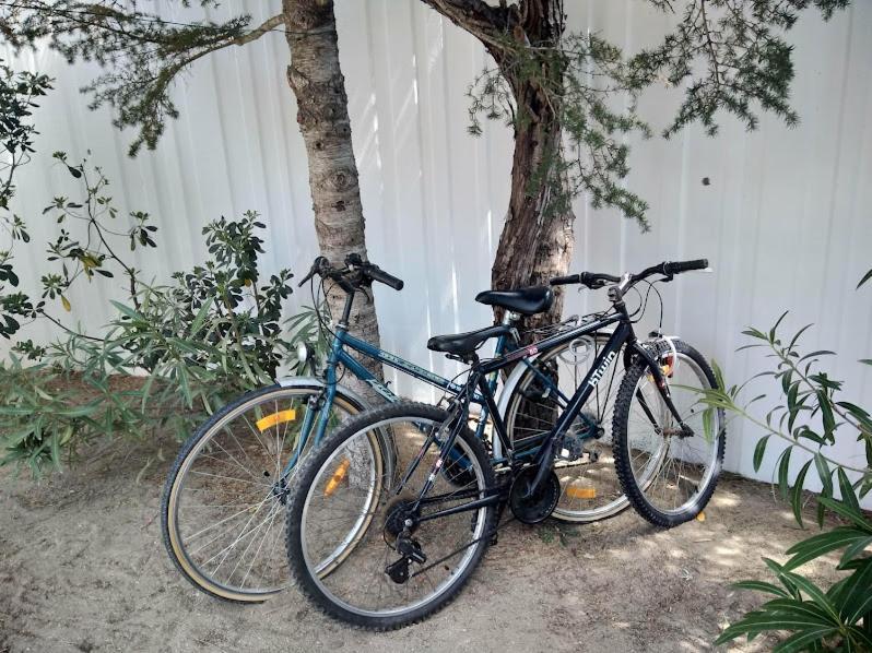 Maison Jardin Wifi - Climatisation - 100 M Plage Sauvage - 20 Min Perpignan ตูเรย์ลส์ ภายนอก รูปภาพ