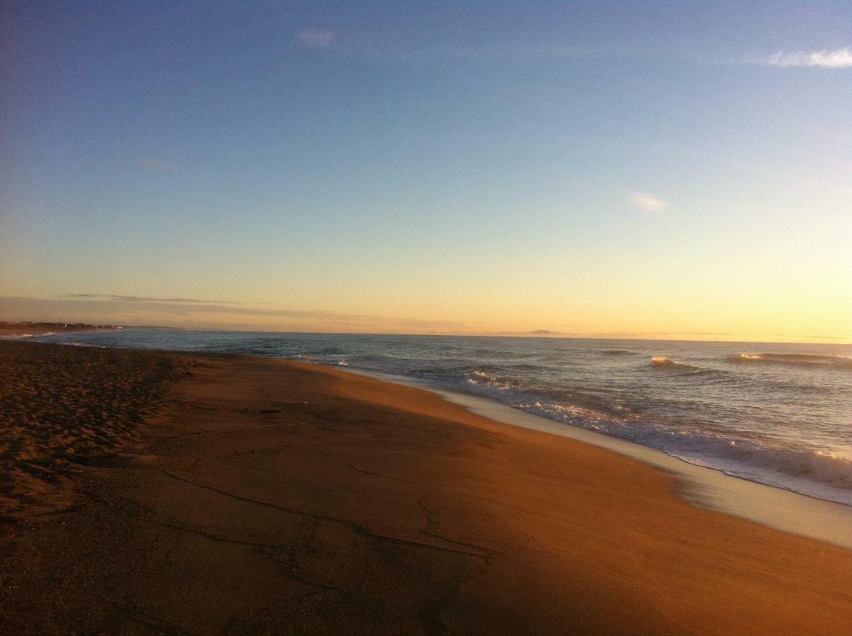 Maison Jardin Wifi - Climatisation - 100 M Plage Sauvage - 20 Min Perpignan ตูเรย์ลส์ ภายนอก รูปภาพ